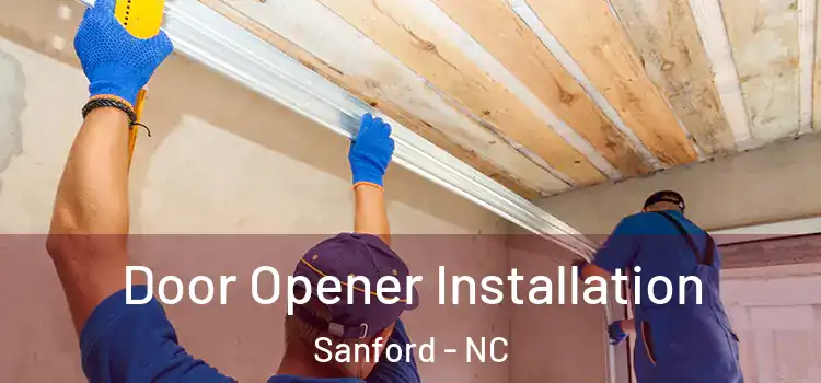  Door Opener Installation Sanford - NC