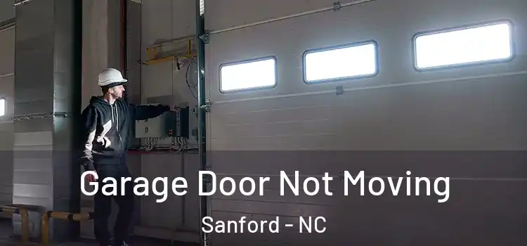  Garage Door Not Moving Sanford - NC